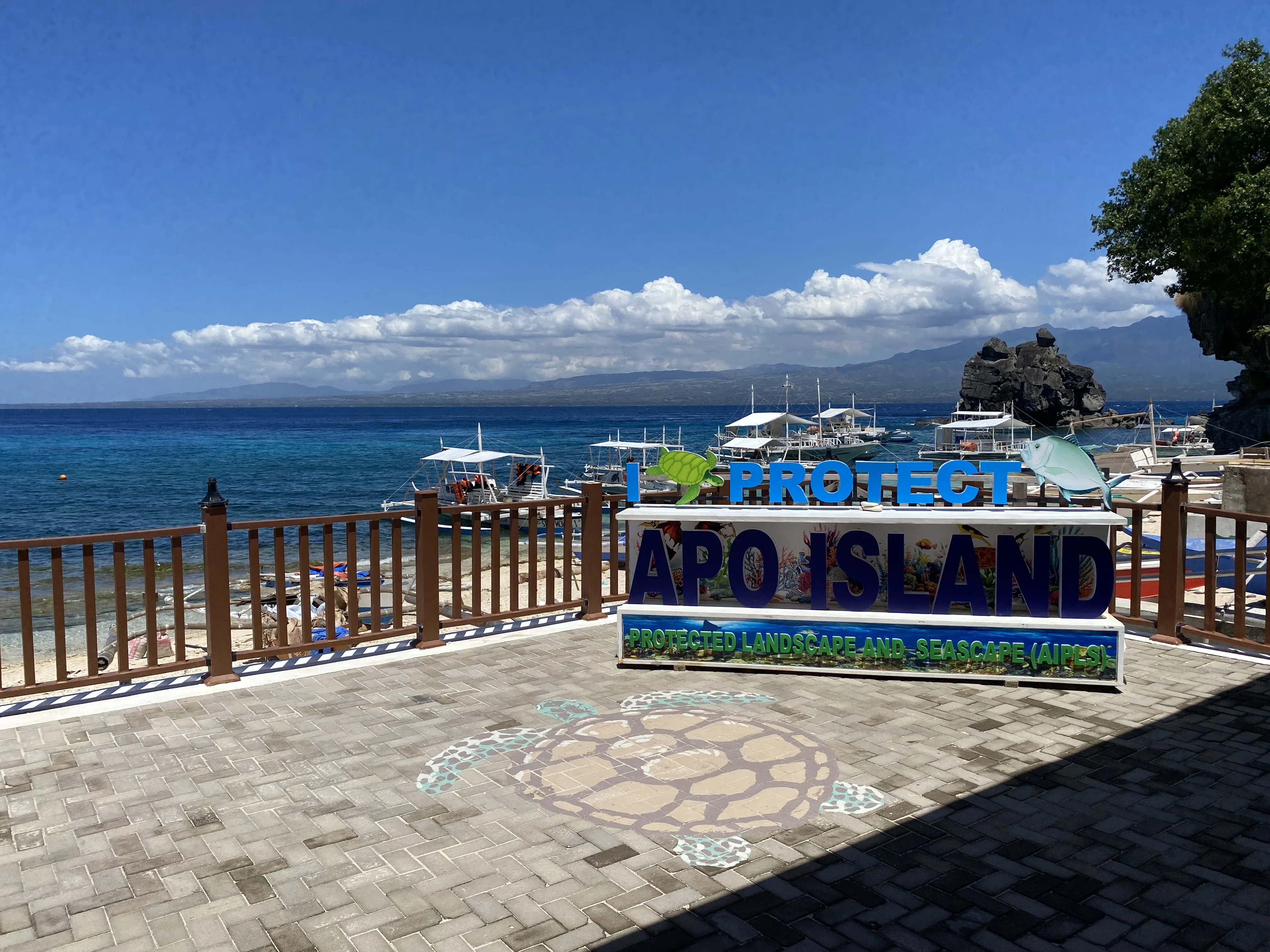 The "Protect Apo Island" sign, near the beach