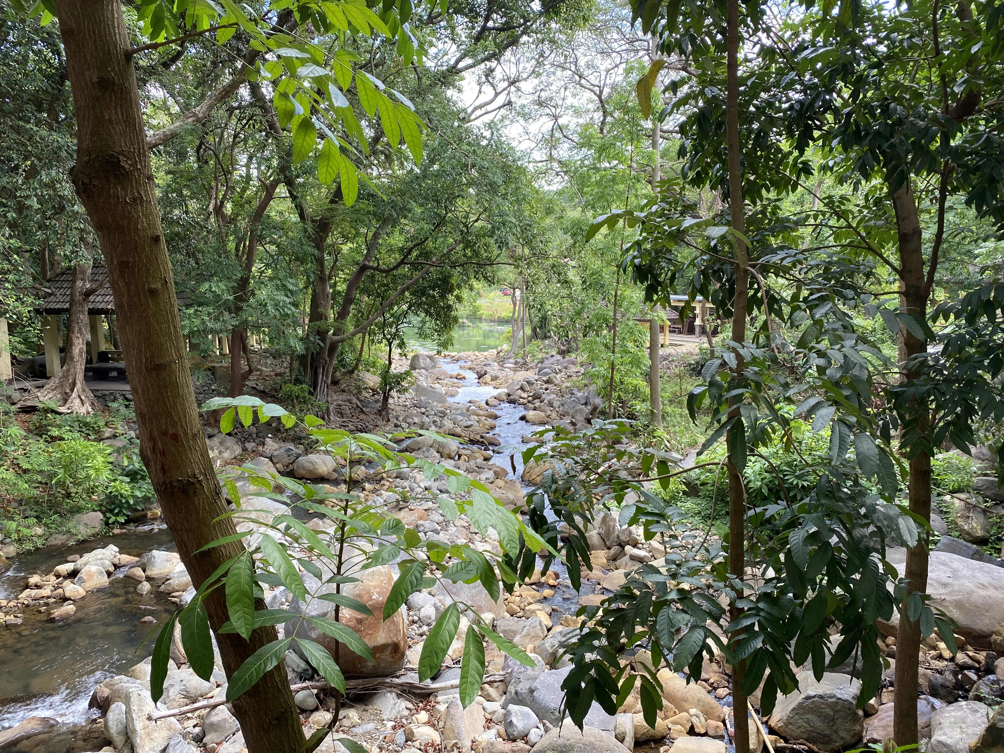 A creek running through the jungle at Mambukal Resort