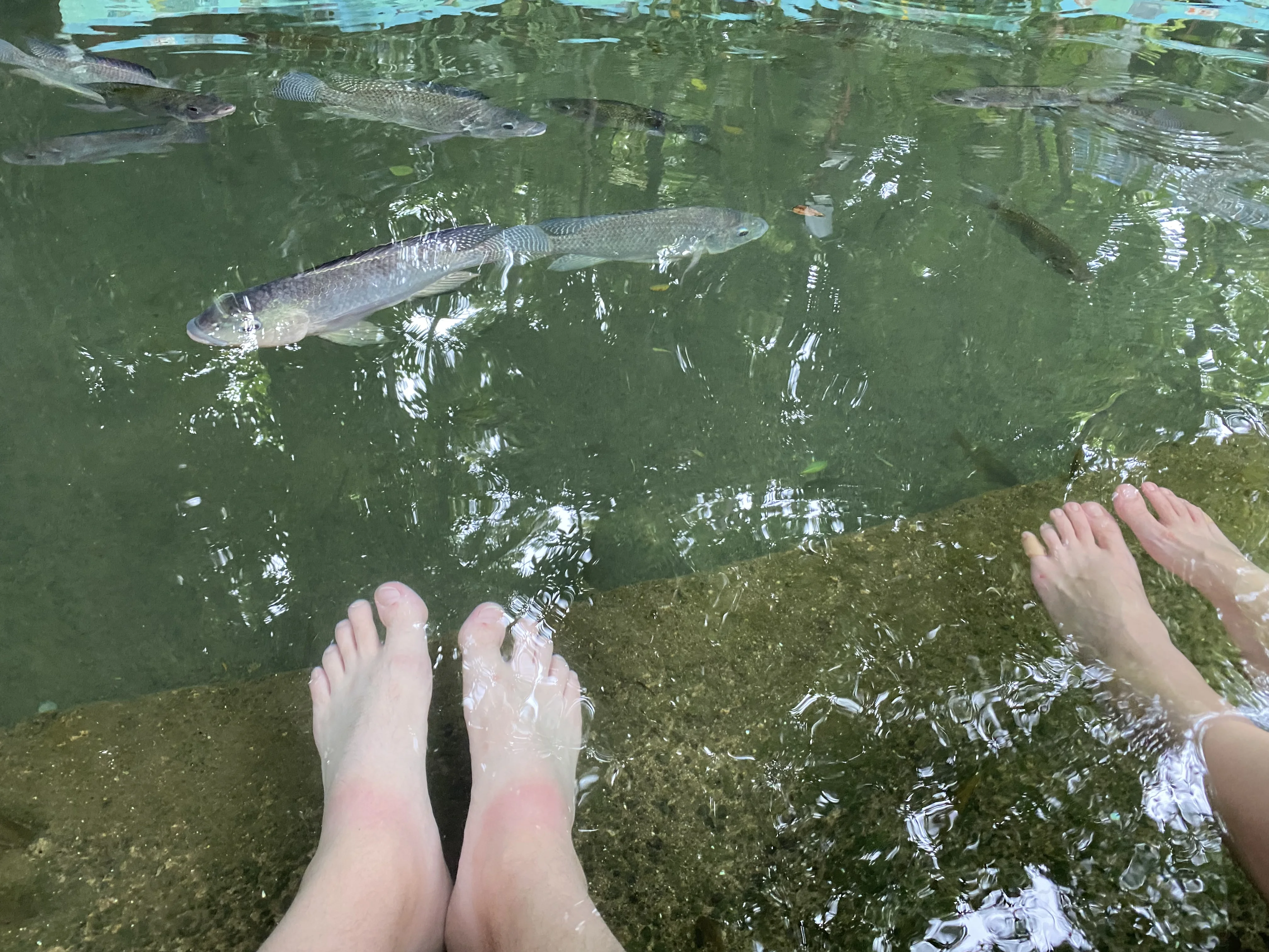 Dangling our feet at the fish spa in Siquijor