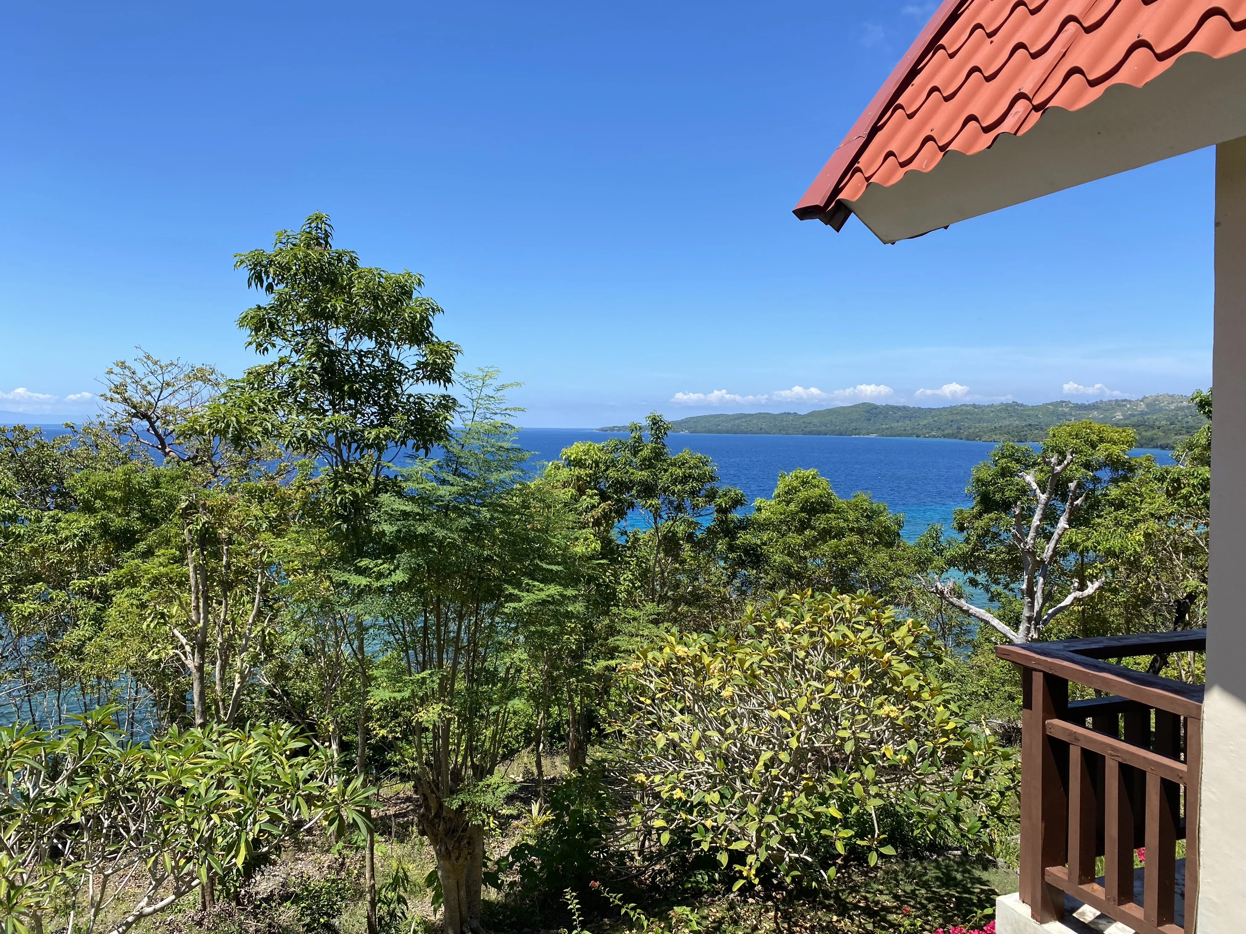 View of the Siquijor coast from the balcony